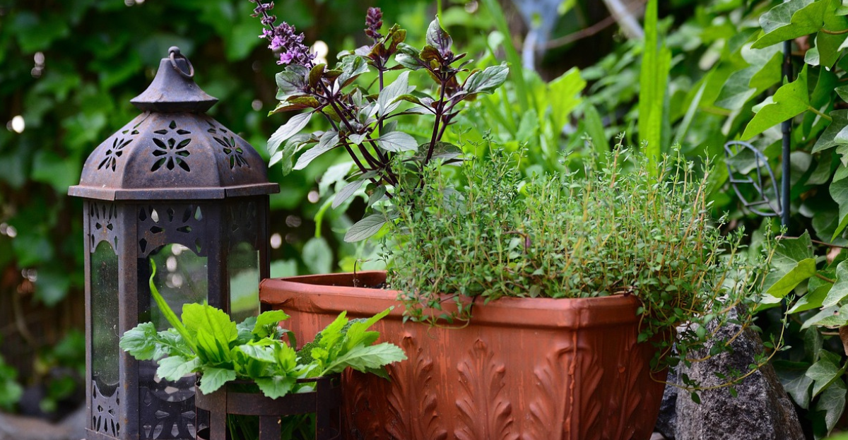 Plant pot with lamp